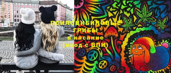 тгк Ростов