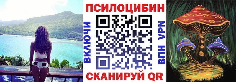Галлюциногенные грибы мицелий  Клин 