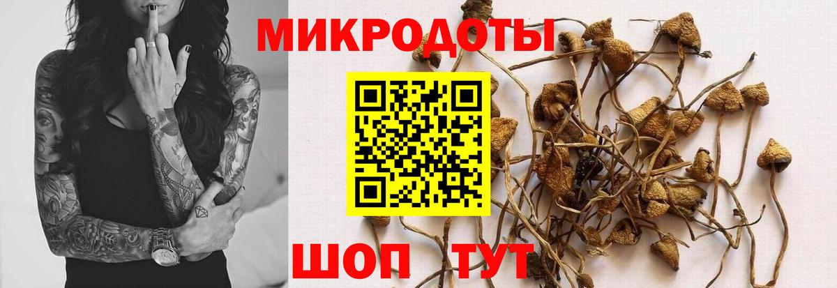 Клин  Галлюциногенные грибы прущие грибы  Вход с VPN  Галлюциногенные грибы мухоморы 